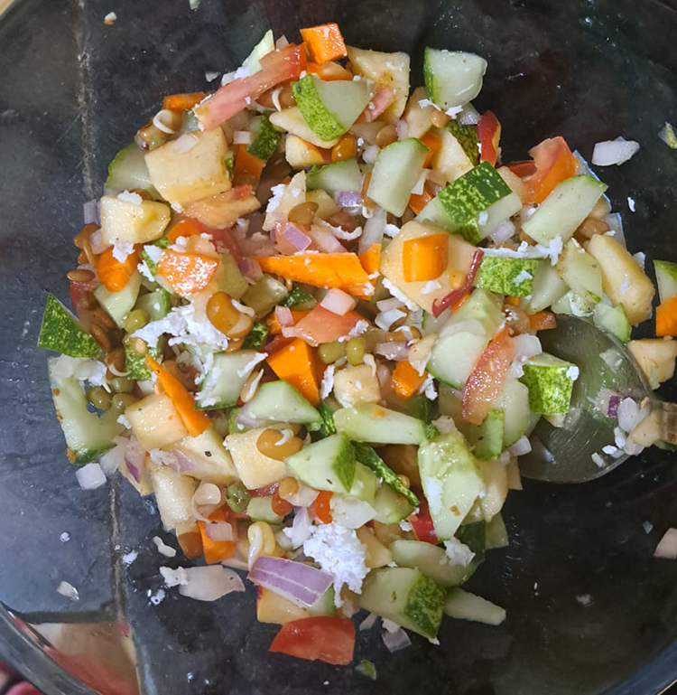  
                                Mix Sprouts Salad