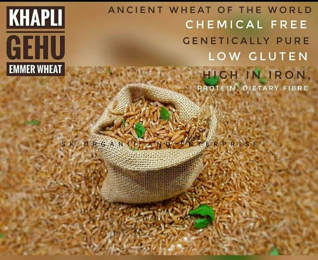 Khapli Gehu
